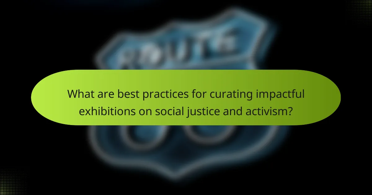 What are best practices for curating impactful exhibitions on social justice and activism?