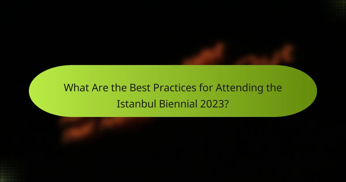 What Are the Best Practices for Attending the Istanbul Biennial 2023?