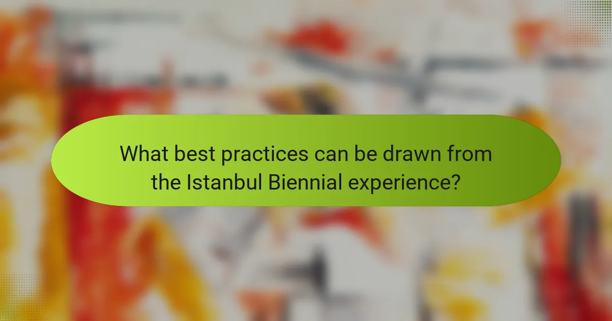 What best practices can be drawn from the Istanbul Biennial experience?