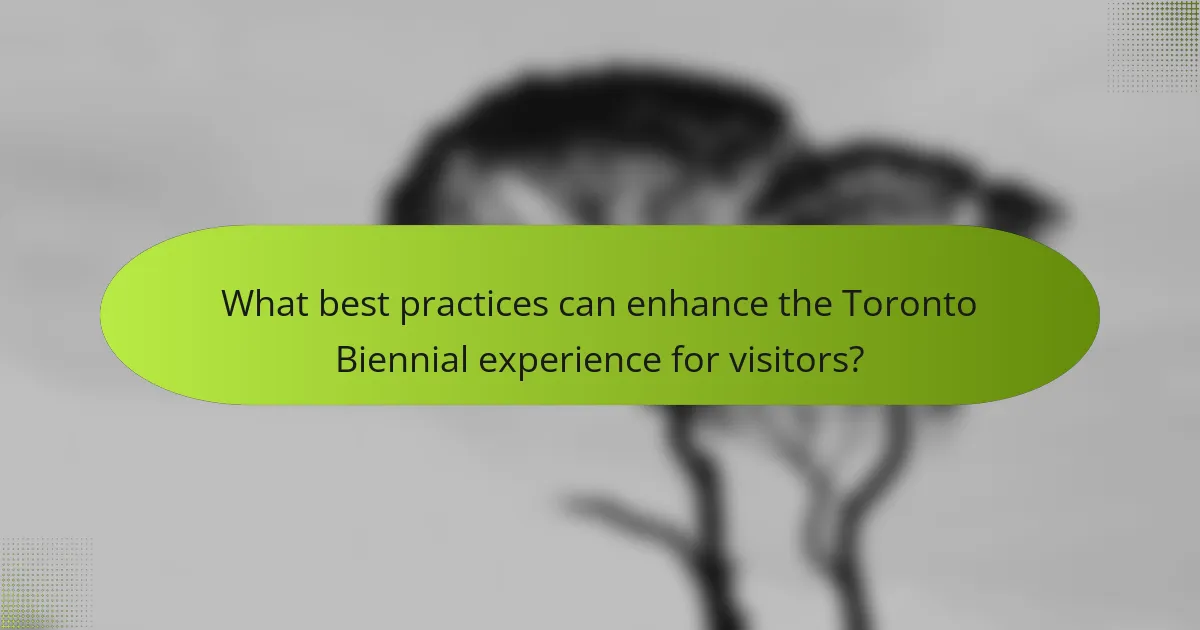 What best practices can enhance the Toronto Biennial experience for visitors?